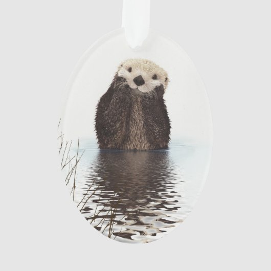 Adorable Smilch Otter im Lake Ornament (Rückseite)