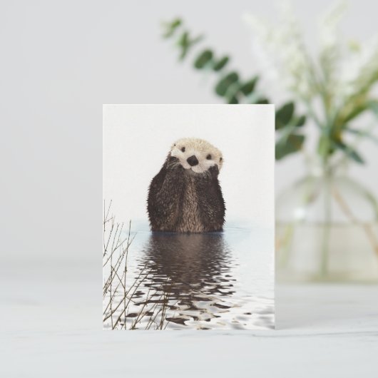 Adorable Smilch Otter im Lake Postkarte (Stehend Vorderseite)