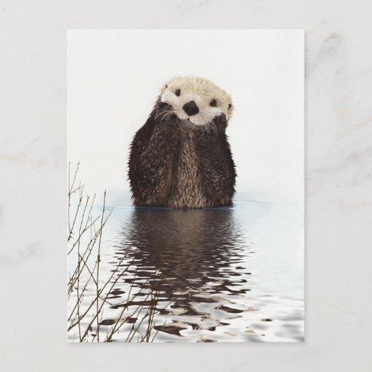 Adorable Smilch Otter im Lake Postkarte (Vorderseite)