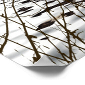 Adorable Smiling Otter in Lake Poster (Ecke)