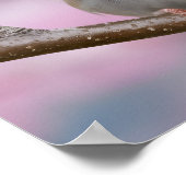 Adorable Sparrow Nah-Up in Kirschblossom Tree Poster (Ecke)