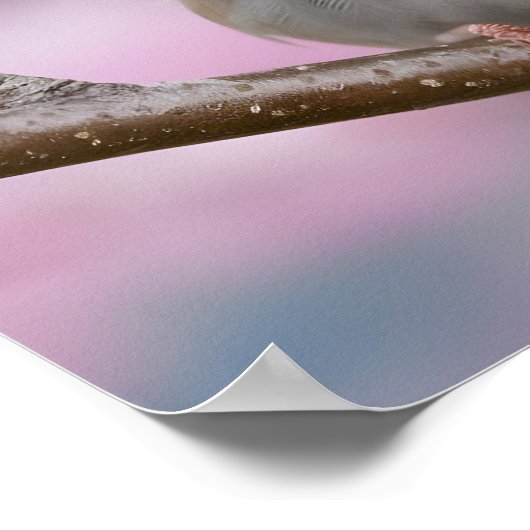 Adorable Sparrow Nah-Up in Kirschblossom Tree Poster (Ecke)