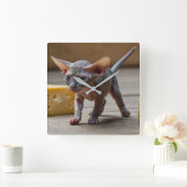 Adorable Sphynx Kitten und Käse Quadratische Wanduhr (Zuhause)