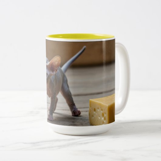 Adorable Sphynx Kitten und Käse Zweifarbige Tasse (VorderseiteRechts)