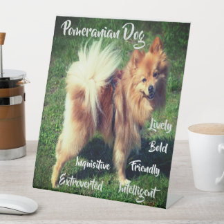 Adorable Spitz Hundesachen Schild für das Fußball