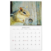 Adorable Striped Chipmunks Wildlife Watercolor Art Kalender (Mär 2027)