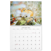 Adorable Striped Chipmunks Wildlife Watercolor Art Kalender (Jan 2027)