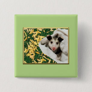 Adorable Sweet Baby Opossum Button