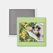 Adorable Sweet Baby Opossum Magnet (Vorderseite/Rückseite)