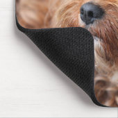 Adorable Sweet Cavoodle Puppy Mousepad (Ecke)