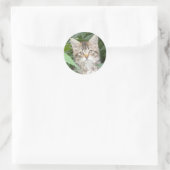 Adorable Tabby Kitten Runder Aufkleber (Tasche)