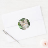 Adorable Tabby Kitten Runder Aufkleber (Umschlag)