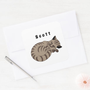 Adorable Tan Tabby Kitten Schlafname Tag Quadratischer Aufkleber