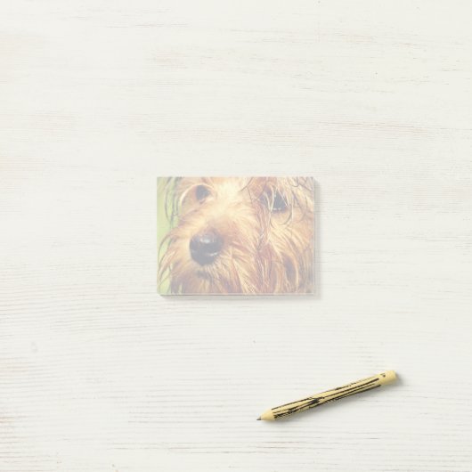 Adorable Terrier Dog mit nassem Gesicht Post-it Klebezettel (Auf Schreibtisch)