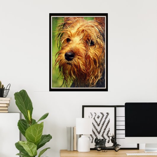 Adorable Terrier Dog mit nassem Gesicht Poster (Heimbüro)