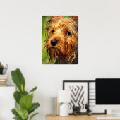 Adorable Terrier Dog mit nassem Gesicht Poster (Heimbüro)