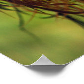 Adorable Terrier Dog mit nassem Gesicht Poster (Ecke)