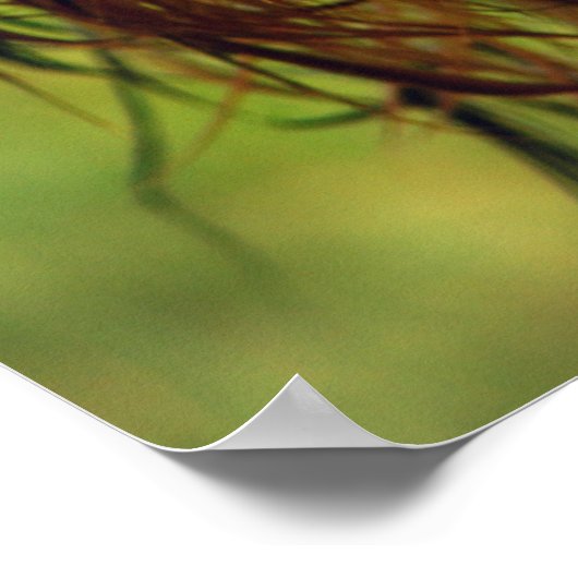 Adorable Terrier Dog mit nassem Gesicht Poster (Ecke)