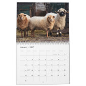 Adorable Tiere auf dem Bauernhof Kalender (Jan 2027)