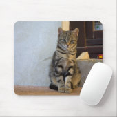Adorable Tiger Cat Baby Mousepad (Mit Mouse)