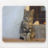 Adorable Tiger Cat Baby Mousepad (Vorne)