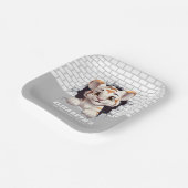 Adorable Tiger Cub Peeking Out Light Gray Party Pappteller (Gewinkelt)