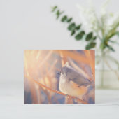 Adorable Titmaus Bird Postkarte (Stehend Vorderseite)