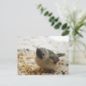 Adorable Titmouse Postkarte (Stehend Vorderseite)