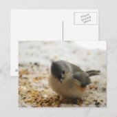Adorable Titmouse Postkarte (Vorne/Hinten)