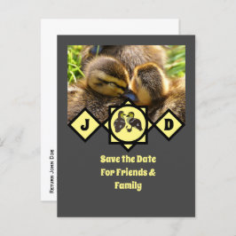 Adorable Twin Ducklings Monogram Foto Einladungspostkarte