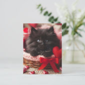 Adorable Valentine Fluffy Black Kitten in Basket Postkarte (Stehend Vorderseite)