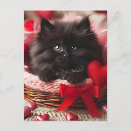 Adorable Valentine Fluffy Black Kitten in Basket Postkarte