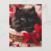 Adorable Valentine Fluffy Black Kitten in Basket Postkarte (Vorderseite)