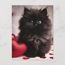 Adorable Valentine Fluffy Black Kitten Postkarte