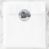 Adorable Walrus Runder Aufkleber (Tasche)