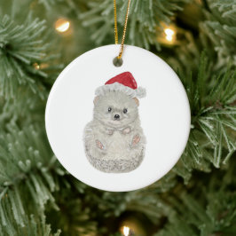 Adorable Watercolor Igel Weihnachten Keramik Ornament