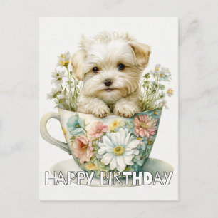Adorable Welpe im Teecup Postkarte