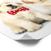 Adorable Welpen Poster (Ecke)