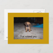 Adorable Welpenaugen Postkarte (Vorne/Hinten)