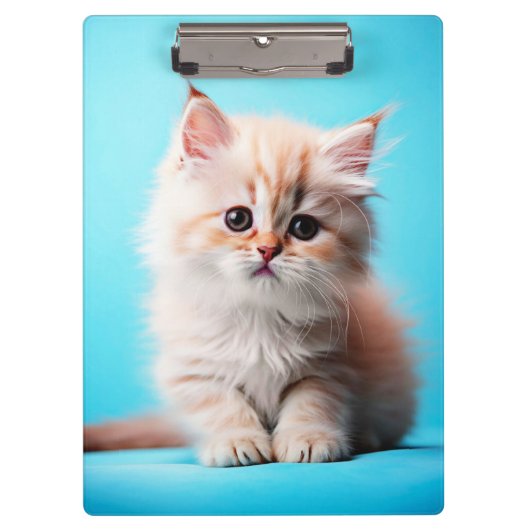 Adorable White Kitten Potrait-54971 Klemmbrett (Vorderseite)