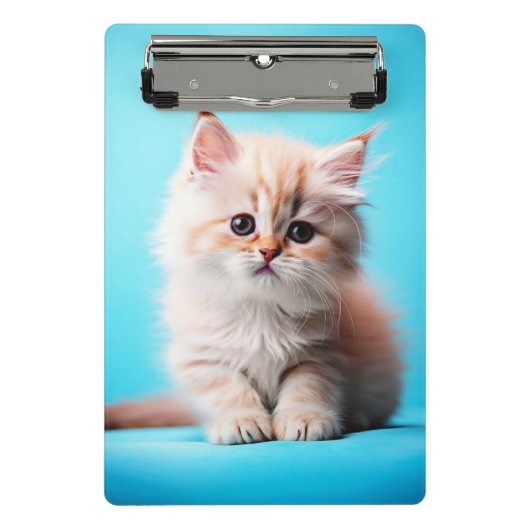 Adorable White Kitten Potrait-54971 Mini Klemmbrett (Vorderseite)