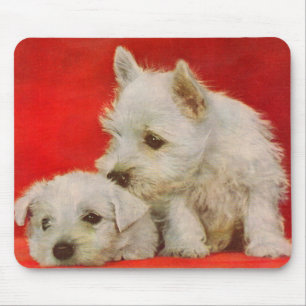 adorable white terrier puppies mousepad