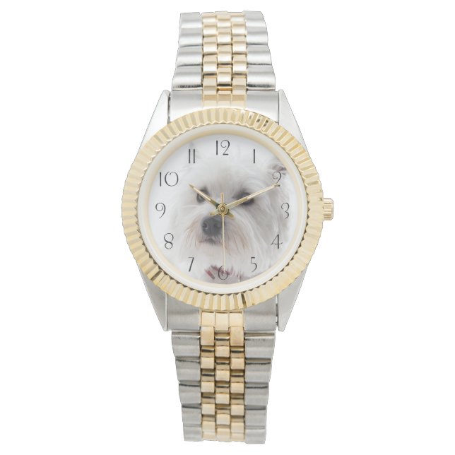 Adorable White West Highland Terrier Armbanduhr (Vorderseite)