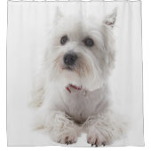 Adorable White West Highland Terrier Duschvorhang (Vorderseite)
