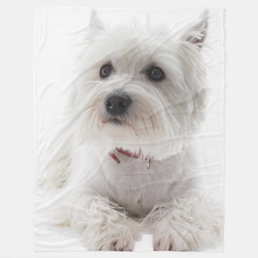 Adorable White West Highland Terrier Fleecedecke (Vorderseite)