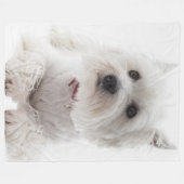 Adorable White West Highland Terrier Fleecedecke (Vorderseite (Horizontal))