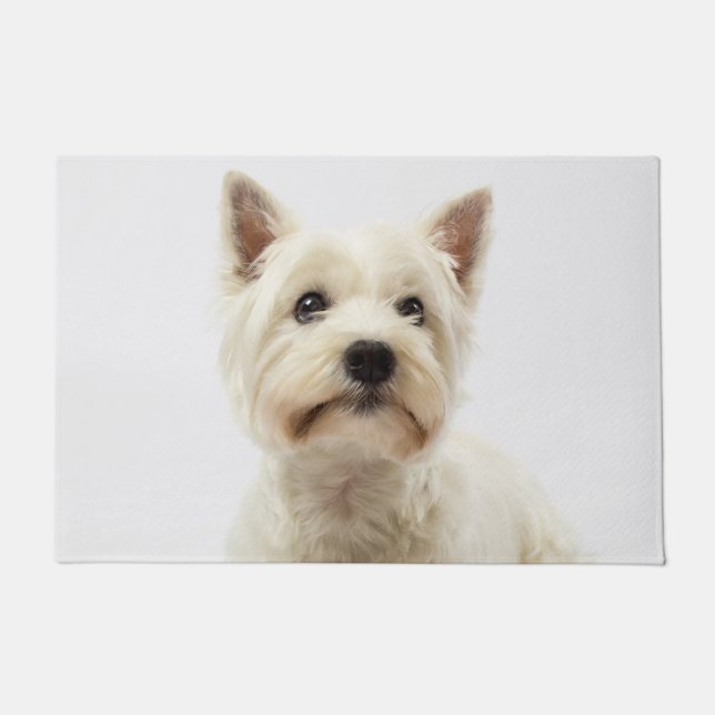 Adorable White West Highland Terrier Fußmatte (Vorderseite)