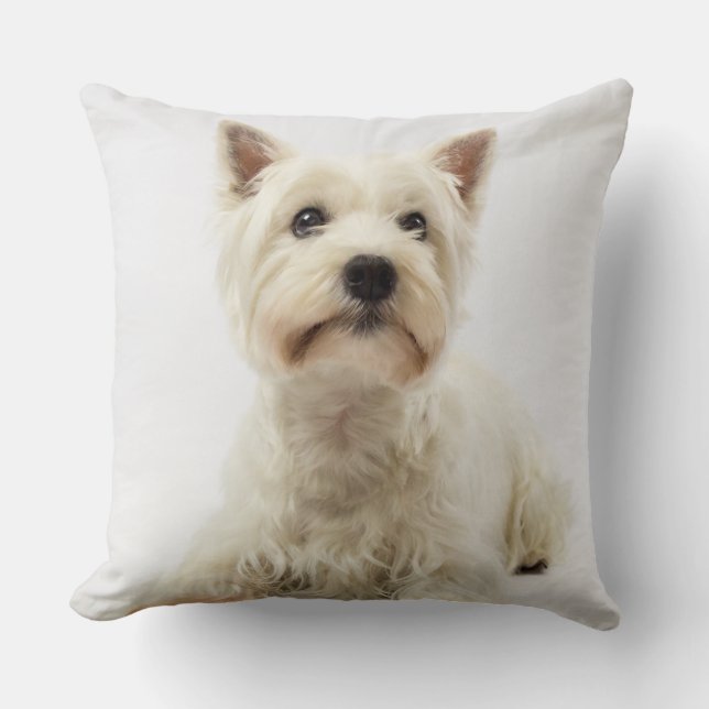 Adorable White West Highland Terrier Kissen (Vorderseite)