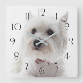 Adorable White West Highland Terrier Quadratische Wanduhr