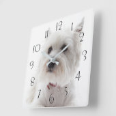 Adorable White West Highland Terrier Quadratische Wanduhr (Winkel)